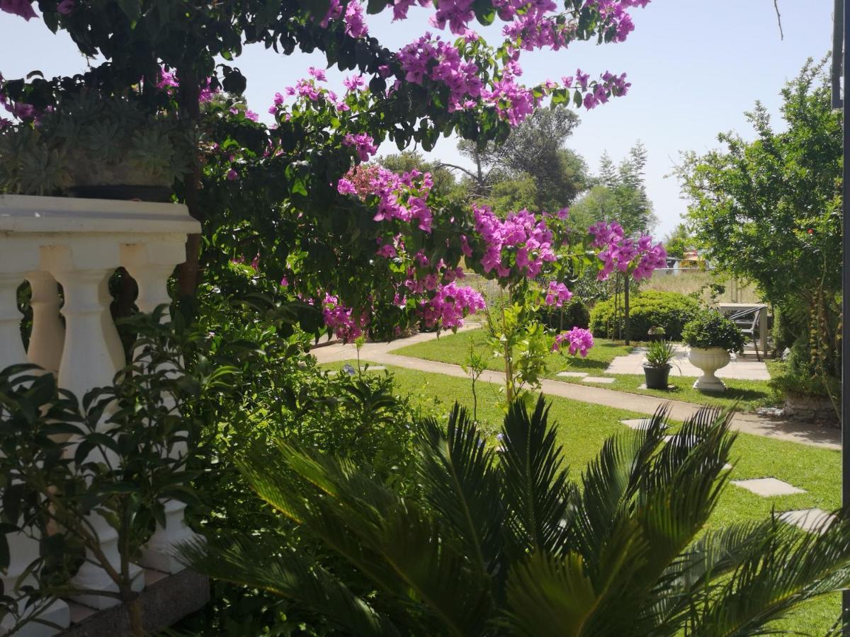 Apartments Daniela Vodice Ngoại thất bức ảnh
