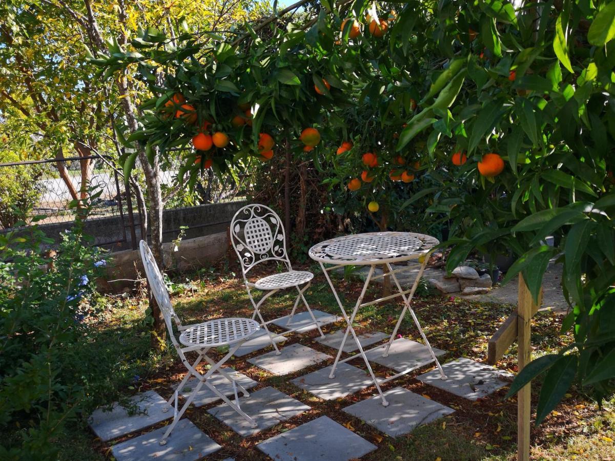 Apartments Daniela Vodice Ngoại thất bức ảnh